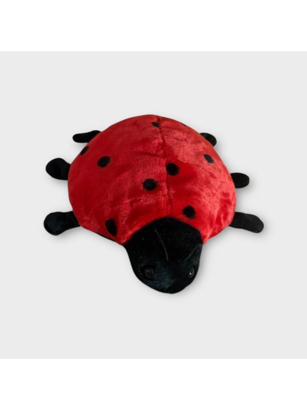Ty Beanie Buddy “Lucky” the Ladybug – 1999 Vintage Plush (No Hang Tag)